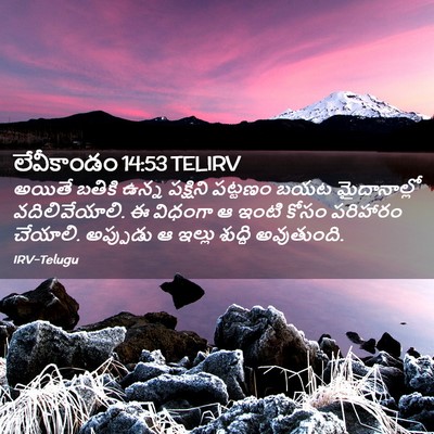 Picture 02 - లేవీకాండం 14:53 TELIRV - అయితే బతికి ఉన్న - Bible Verse Picture