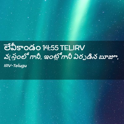 Picture 02 - లేవీకాండం 14:55 TELIRV - వస్త్రంలో గానీ, - Bible Verse Picture