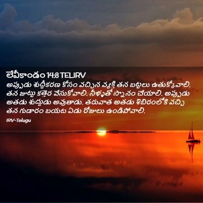 Picture 02 - లేవీకాండం 14:8 TELIRV - అప్పుడు శుద్ధీకరణ - Bible Verse Picture