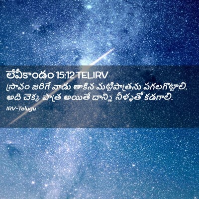 Picture 02 - లేవీకాండం 15:12 TELIRV - స్రావం జరిగే వాడు - Bible Verse Picture