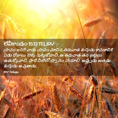 Picture 02 - లేవీకాండం 15:13 TELIRV - స్రావం జరిగే వాడు - Bible Verse Picture