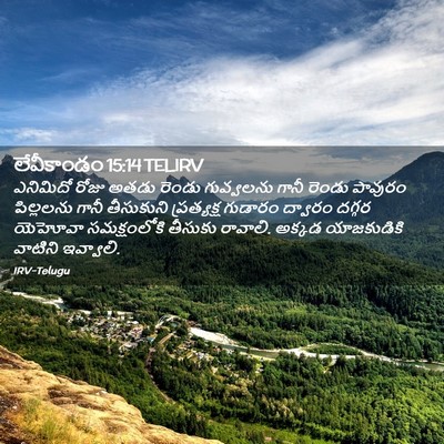 Picture 02 - లేవీకాండం 15:14 TELIRV - ఎనిమిదో రోజు అతడు - Bible Verse Picture