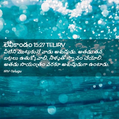Picture 02 - లేవీకాండం 15:27 TELIRV - వీటిని ముట్టుకునే - Bible Verse Picture