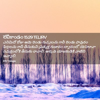 Picture 02 - లేవీకాండం 15:29 TELIRV - ఎనిమిదో రోజు ఆమె - Bible Verse Picture