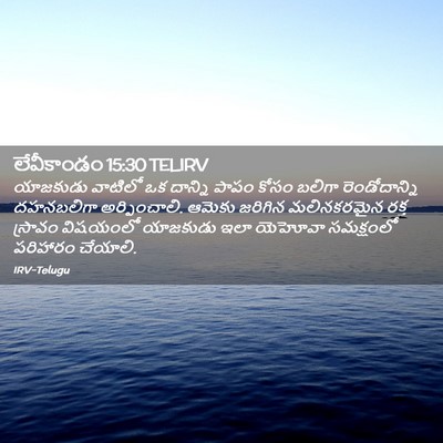 Picture 02 - లేవీకాండం 15:30 TELIRV - యాజకుడు వాటిలో ఒక - Bible Verse Picture