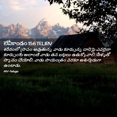 Picture 02 - లేవీకాండం 15:6 TELIRV - శరీరంలో స్రావం - Bible Verse Picture