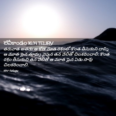 Picture 02 - లేవీకాండం 16:14 TELIRV - తరువాత అతడు ఆ కోడె - Bible Verse Picture