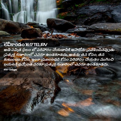 Picture 02 - లేవీకాండం 16:17 TELIRV - అతి పవిత్ర స్థలం - Bible Verse Picture