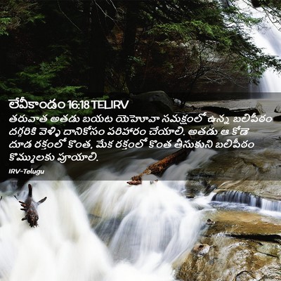 Picture 02 - లేవీకాండం 16:18 TELIRV - తరువాత అతడు బయట - Bible Verse Picture