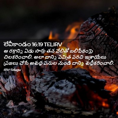 Picture 02 - లేవీకాండం 16:19 TELIRV - ఆ రక్తాన్ని ఏడు - Bible Verse Picture