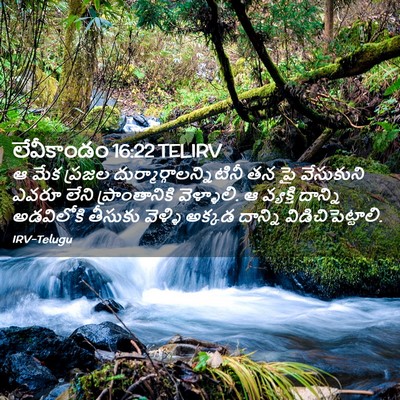 Picture 02 - లేవీకాండం 16:22 TELIRV - ఆ మేక ప్రజల - Bible Verse Picture