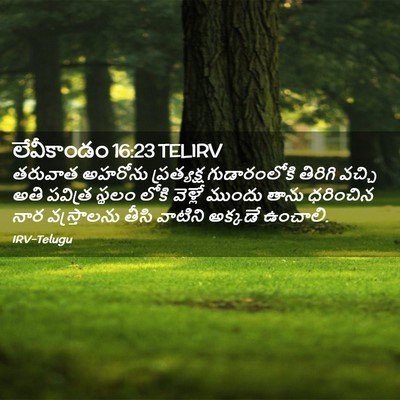 Picture 02 - లేవీకాండం 16:23 TELIRV - తరువాత అహరోను - Bible Verse Picture
