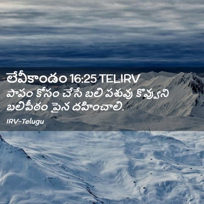 Picture 02 - లేవీకాండం 16:25 TELIRV - పాపం కోసం చేసే బలి - Bible Verse Picture