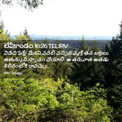 Picture 02 - లేవీకాండం 16:26 TELIRV - విడిచిపెట్టే - Bible Verse Picture