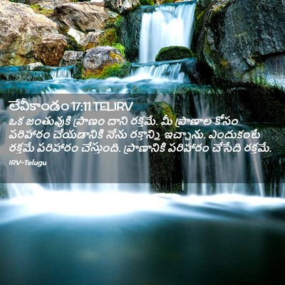 Picture 02 - లేవీకాండం 17:11 TELIRV - ఒక జంతువుకి - Bible Verse Picture