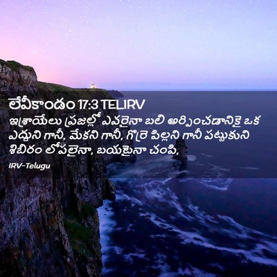 Picture 02 - లేవీకాండం 17:3 TELIRV - ఇశ్రాయేలు - Bible Verse Picture