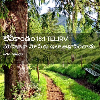Picture 02 - లేవీకాండం 18:1 TELIRV - యెహోవా మోషేకు ఇలా - Bible Verse Picture