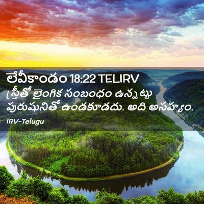 Picture 02 - లేవీకాండం 18:22 TELIRV - స్త్రీతో లైంగిక - Bible Verse Picture