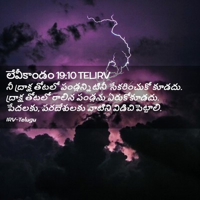 Picture 02 - లేవీకాండం 19:10 TELIRV - నీ ద్రాక్ష తోటలో - Bible Verse Picture