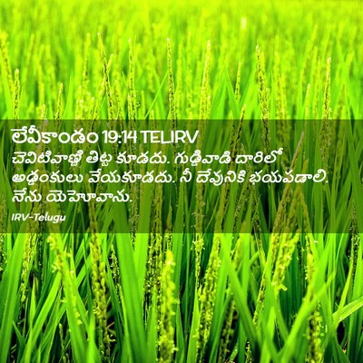Picture 02 - లేవీకాండం 19:14 TELIRV - చెవిటివాణ్ణి - Bible Verse Picture