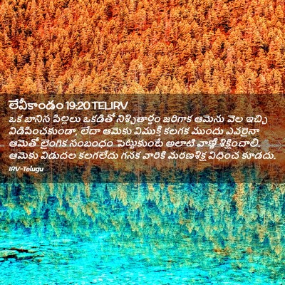 Picture 02 - లేవీకాండం 19:20 TELIRV - ఒక బానిస పిల్లలు - Bible Verse Picture