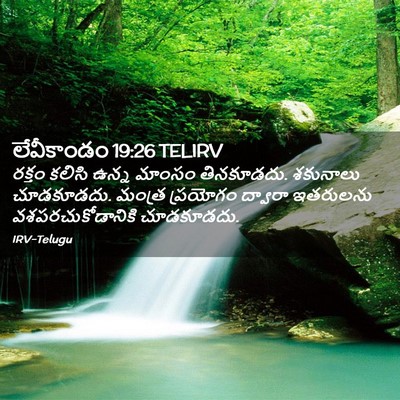 Picture 02 - లేవీకాండం 19:26 TELIRV - రక్తం కలిసి ఉన్న - Bible Verse Picture