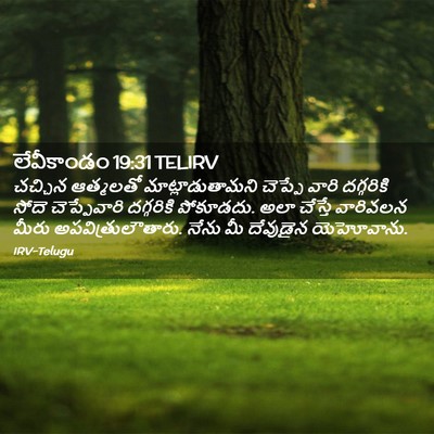 Picture 02 - లేవీకాండం 19:31 TELIRV - చచ్చిన ఆత్మలతో - Bible Verse Picture
