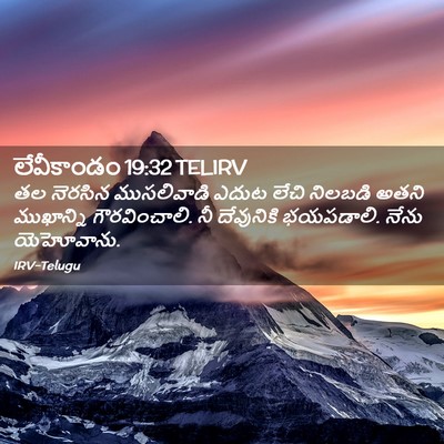 Picture 02 - లేవీకాండం 19:32 TELIRV - తల నెరసిన - Bible Verse Picture
