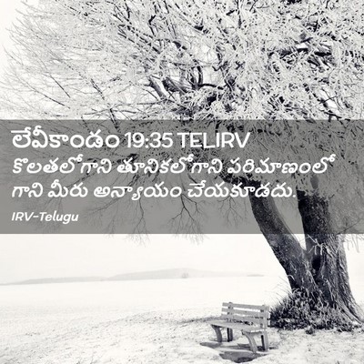 Picture 02 - లేవీకాండం 19:35 TELIRV - కొలతలోగాని - Bible Verse Picture