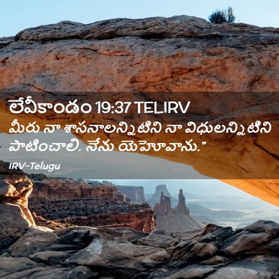 Picture 02 - లేవీకాండం 19:37 TELIRV - మీరు నా - Bible Verse Picture