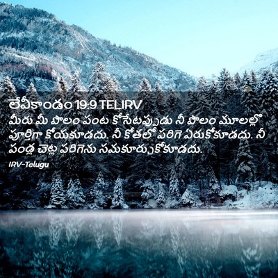 Picture 02 - లేవీకాండం 19:9 TELIRV - మీరు మీ పొలం పంట - Bible Verse Picture