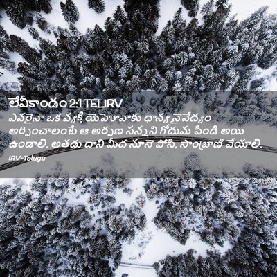 Picture 02 - లేవీకాండం 2:1 TELIRV - ఎవరైనా ఒక వ్యక్తి - Bible Verse Picture