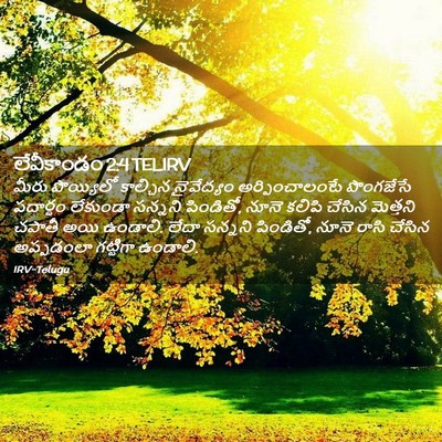 Picture 02 - లేవీకాండం 2:4 TELIRV - మీరు పొయ్యిలో - Bible Verse Picture
