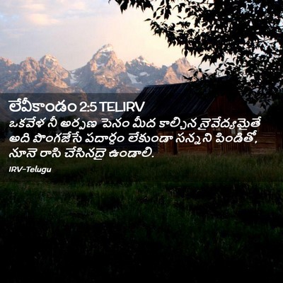 Picture 02 - లేవీకాండం 2:5 TELIRV - ఒకవేళ నీ అర్పణ - Bible Verse Picture