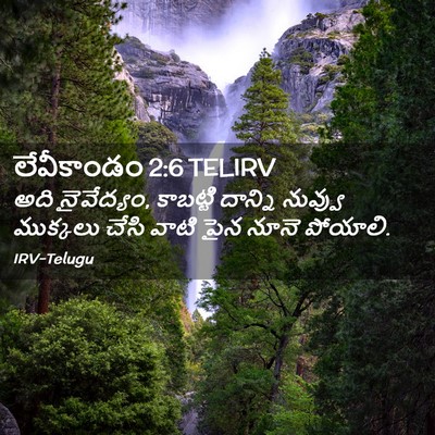 Picture 02 - లేవీకాండం 2:6 TELIRV - అది నైవేద్యం, - Bible Verse Picture