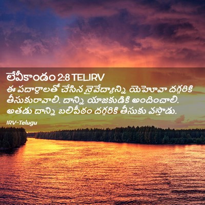 Picture 02 - లేవీకాండం 2:8 TELIRV - ఈ పదార్ధాలతో - Bible Verse Picture