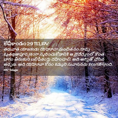 Picture 02 - లేవీకాండం 2:9 TELIRV - తరువాత యాజకుడు - Bible Verse Picture