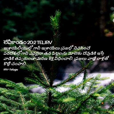 Picture 02 - లేవీకాండం 20:2 TELIRV - ఇశ్రాయేలీయుల్లో - Bible Verse Picture