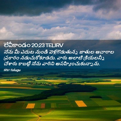 Picture 02 - లేవీకాండం 20:23 TELIRV - నేను మీ ఎదుట నుండి - Bible Verse Picture
