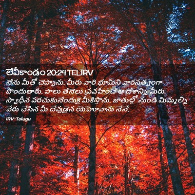 Picture 02 - లేవీకాండం 20:24 TELIRV - నేను మీతో - Bible Verse Picture