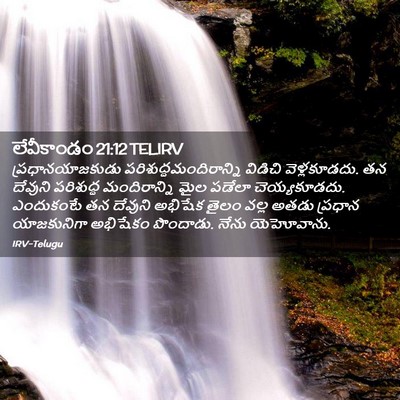 Picture 02 - లేవీకాండం 21:12 TELIRV - ప్రధానయాజకుడు - Bible Verse Picture