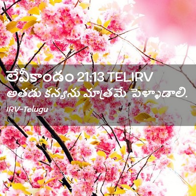 Picture 02 - లేవీకాండం 21:13 TELIRV - అతడు కన్యను - Bible Verse Picture