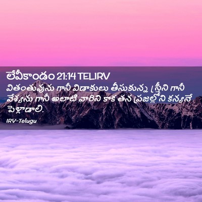 Picture 02 - లేవీకాండం 21:14 TELIRV - వితంతువును గానీ - Bible Verse Picture