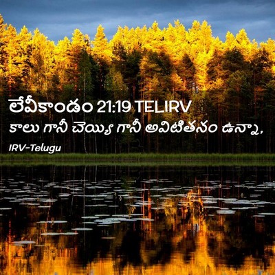 Picture 02 - లేవీకాండం 21:19 TELIRV - కాలు గానీ చెయ్యి - Bible Verse Picture