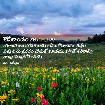 Picture 02 - లేవీకాండం 21:5 TELIRV - యాజకులు బోడిగుండు - Bible Verse Picture