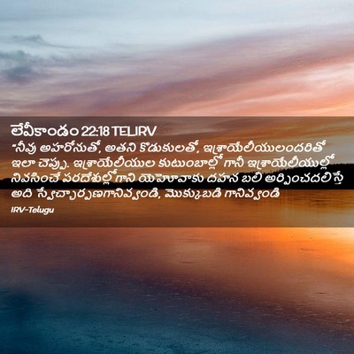 Picture 02 - లేవీకాండం 22:18 TELIRV - “నీవు అహరోనుతో, - Bible Verse Picture