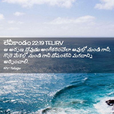 Picture 02 - లేవీకాండం 22:19 TELIRV - ఆ అర్పణ దేవుడు - Bible Verse Picture