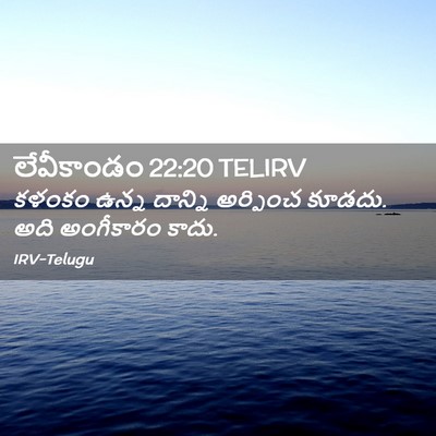 Picture 02 - లేవీకాండం 22:20 TELIRV - కళంకం ఉన్న దాన్ని - Bible Verse Picture