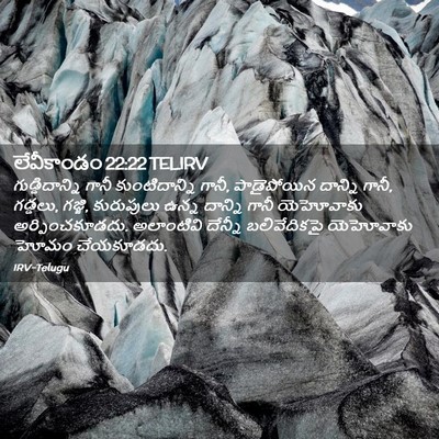 Picture 02 - లేవీకాండం 22:22 TELIRV - గుడ్డిదాన్ని గానీ - Bible Verse Picture