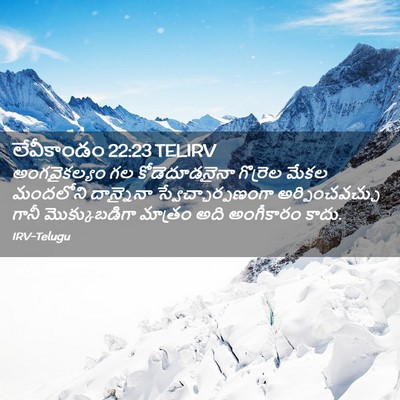 Picture 02 - లేవీకాండం 22:23 TELIRV - అంగవైకల్యం గల - Bible Verse Picture